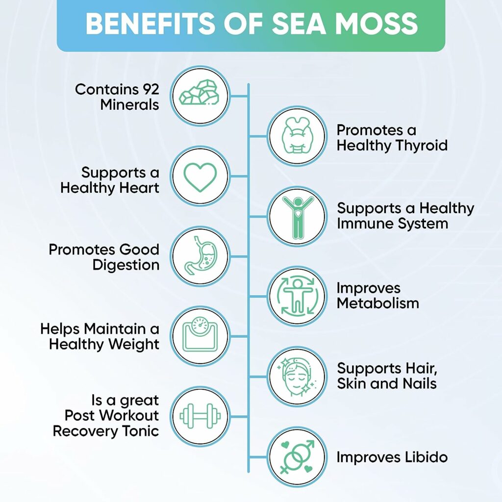 Sea Moss Gel (18 OZ) Wildcrafted Raw Vegan Organic Irish Sea Moss Gel superfood Pineapple Flavor Rich in Vitamins and Minerals for Immune and Digestive Support Over 92 Vitamins  Minerals