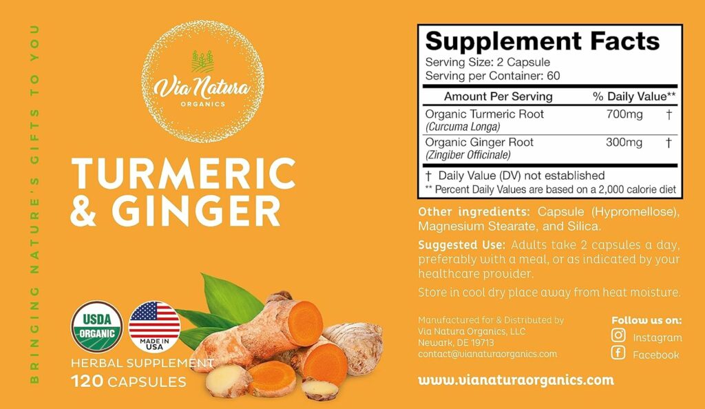 Via Natura Organics Turmeric  Ginger Capsules 1000mg | Organic Herbal Supplement | 120 Capsules