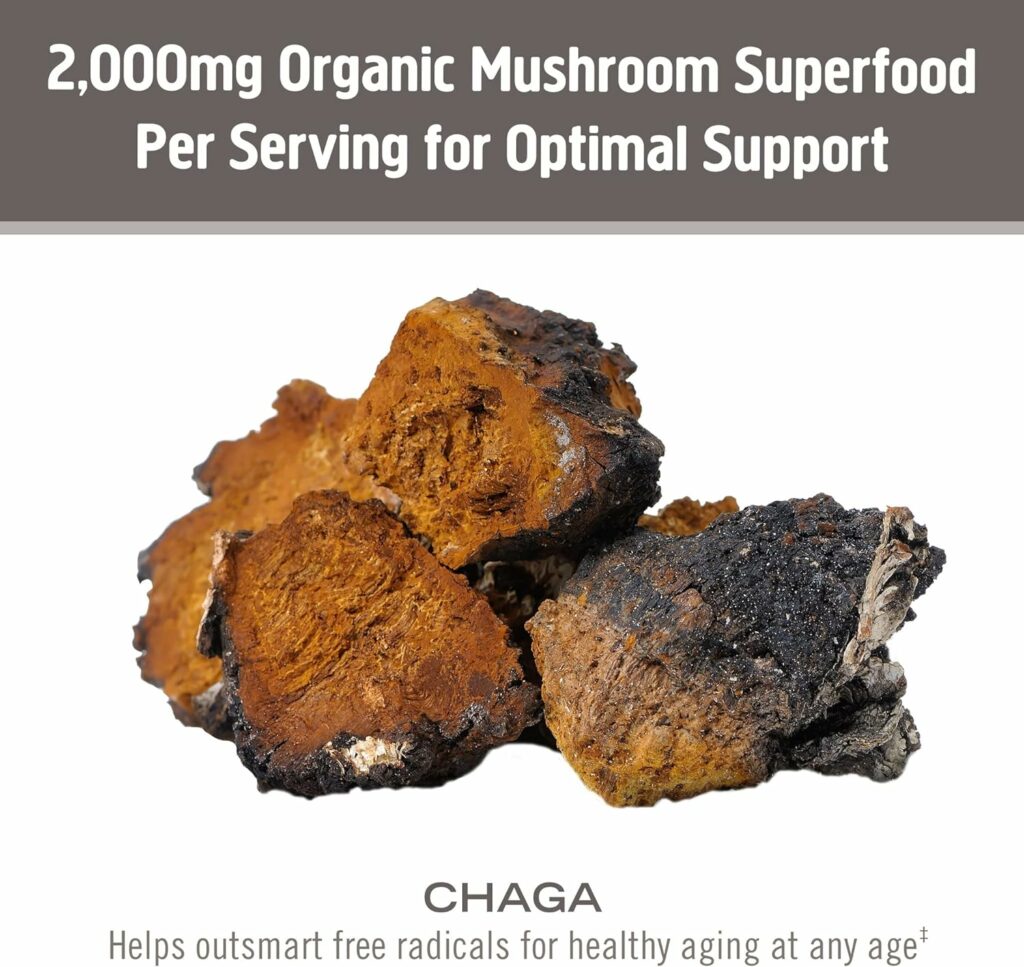 Om Mushroom Superfood Chaga Organic Mushroom Powder, 3.5 Ounce, 50 Servings, US Grown, Sacred Antioxidants  Immune Support, Superfood Mushroom Supplement